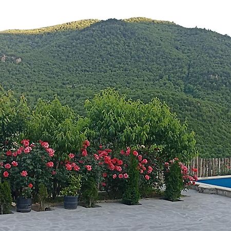 Green Garden Կանաչ Այգի Іджеван Екстер'єр фото