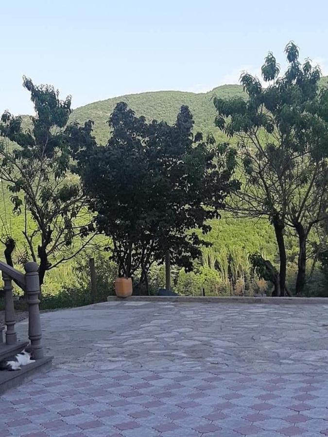 Green Garden Կանաչ Այգի Іджеван Екстер'єр фото