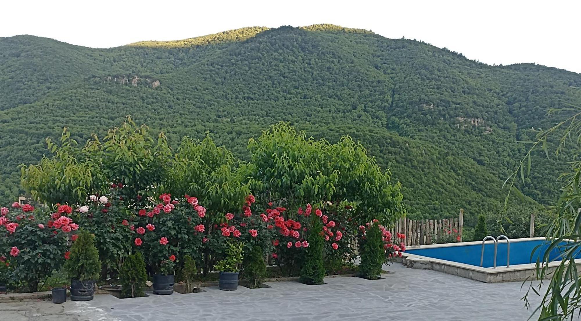 Green Garden Կանաչ Այգի Іджеван Екстер'єр фото