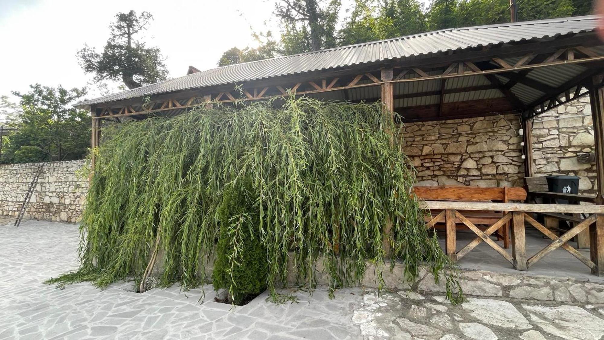 Green Garden Կանաչ Այգի Іджеван Екстер'єр фото