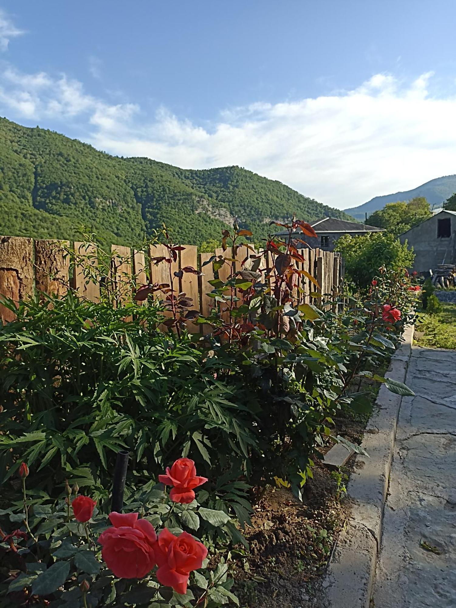 Green Garden Կանաչ Այգի Іджеван Екстер'єр фото