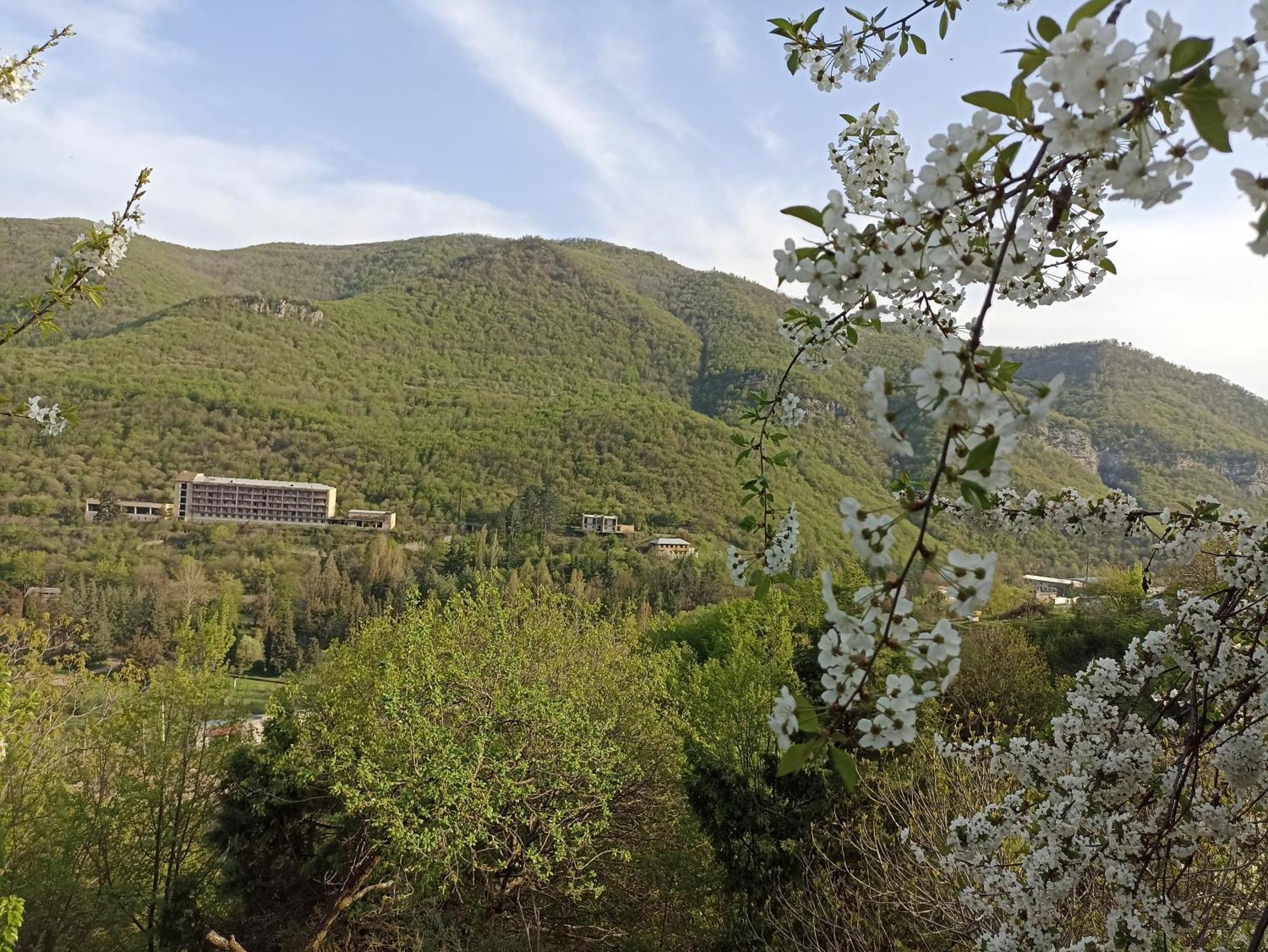 Green Garden Կանաչ Այգի Іджеван Номер фото